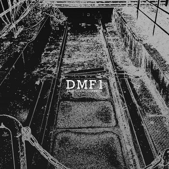 DMF1 | Skip Club Orchestra | DUBLIMINAL BOUNCE