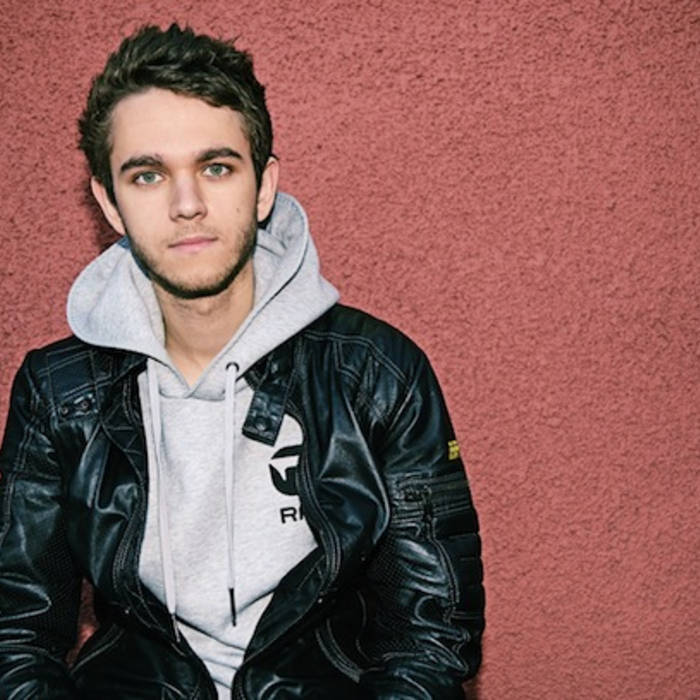 Zedd Foxes Clarity