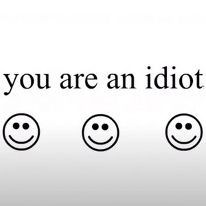 youareanidiot.com cover