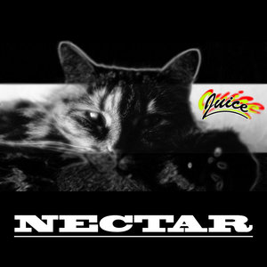 Nectar cover