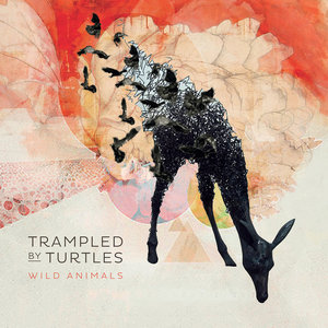 Wild Animals cover