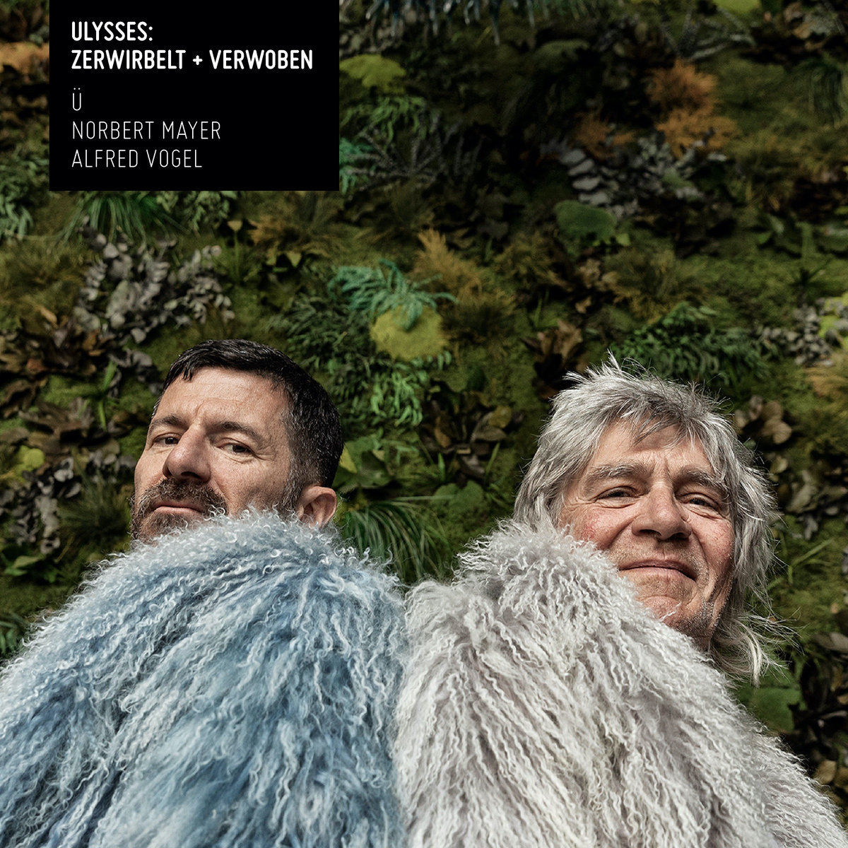 Ulysses: Zerwirbelt + Verwoben