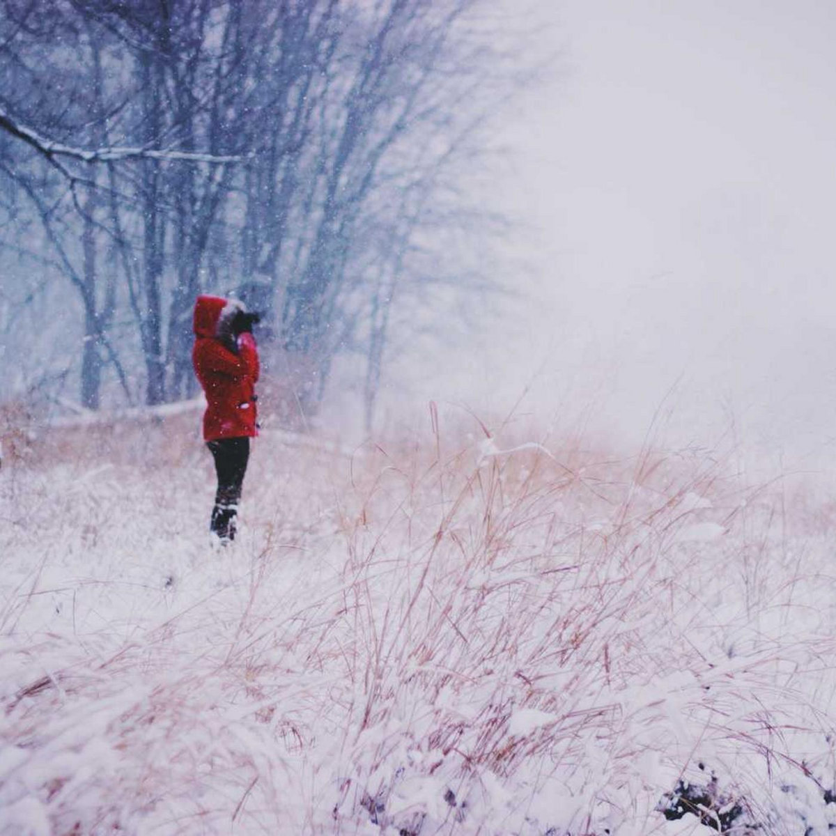 New Normal (2023) (FuLLMovie) MP4/MOV/1080p syo bamdaf