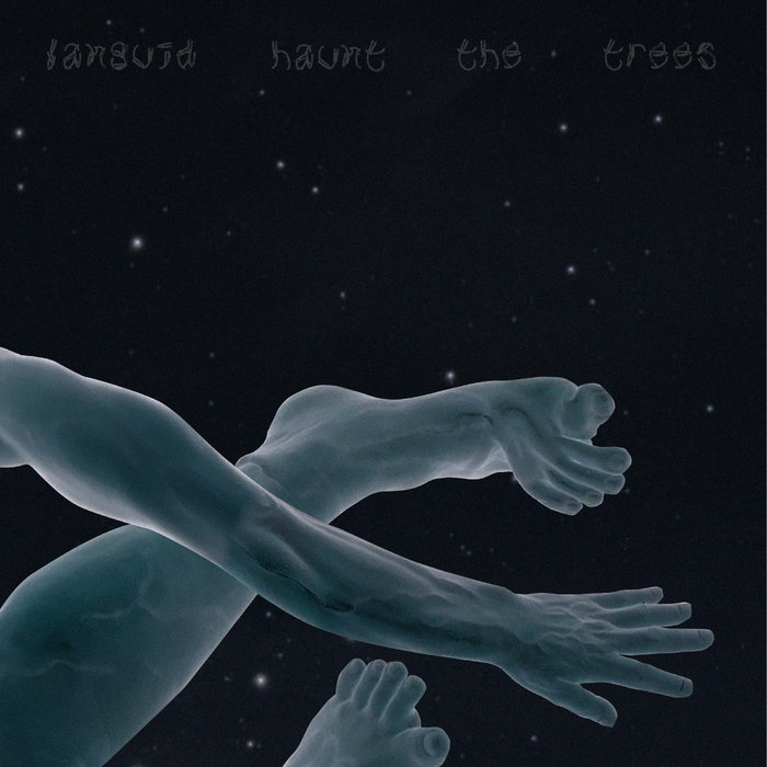 Languid Haunt The Trees