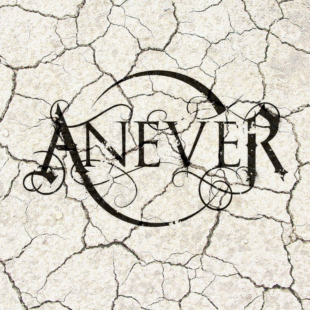 www.facebook.com/aneverband