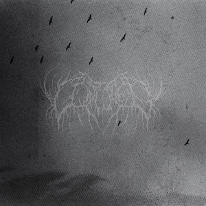 Veins cover