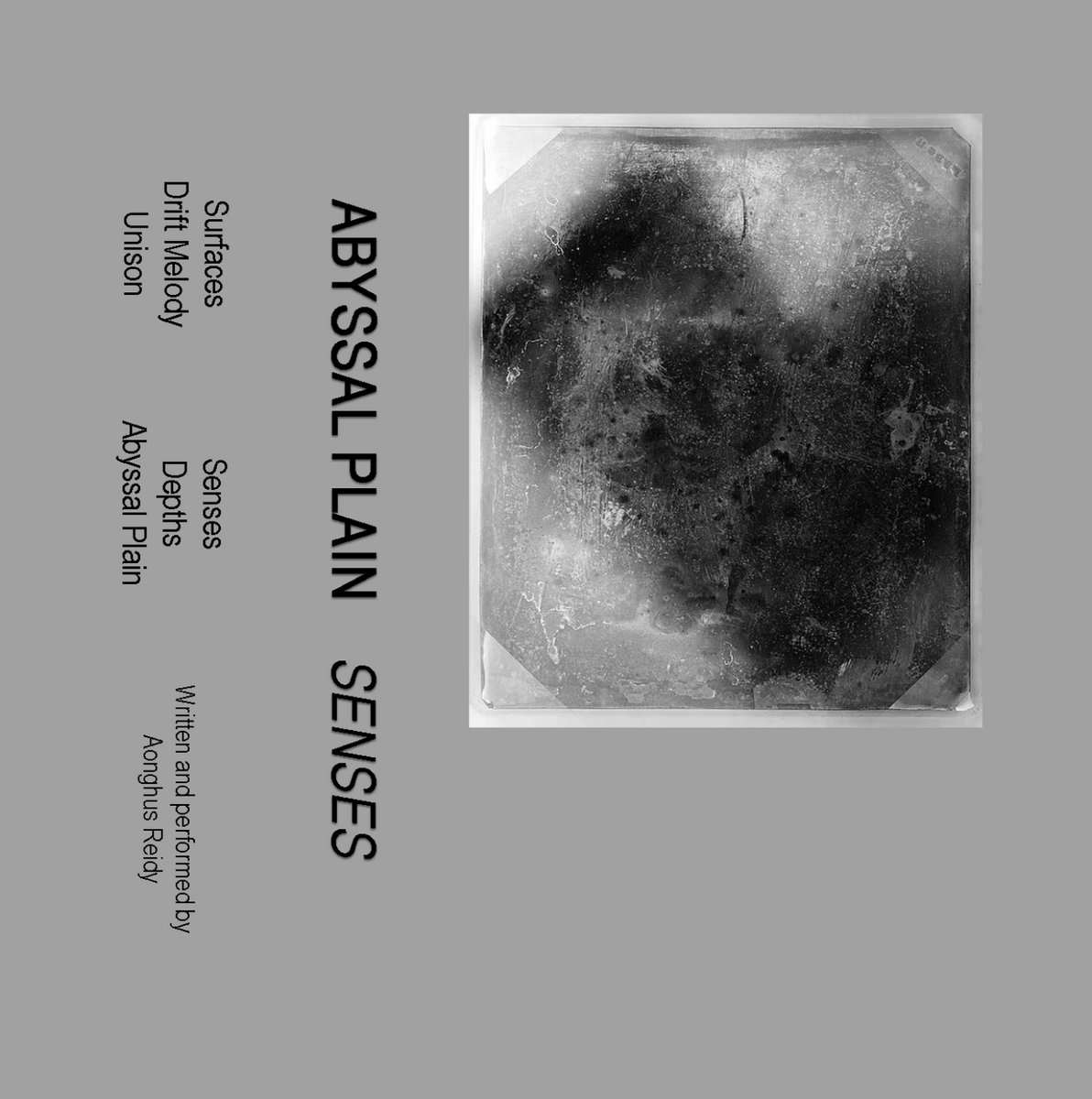 Senses cover