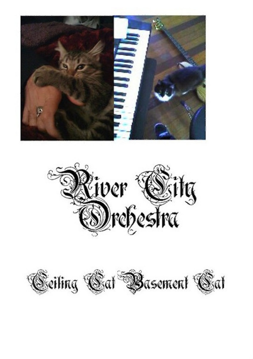 Ceiling Cat Basement Cat River City Orchestra