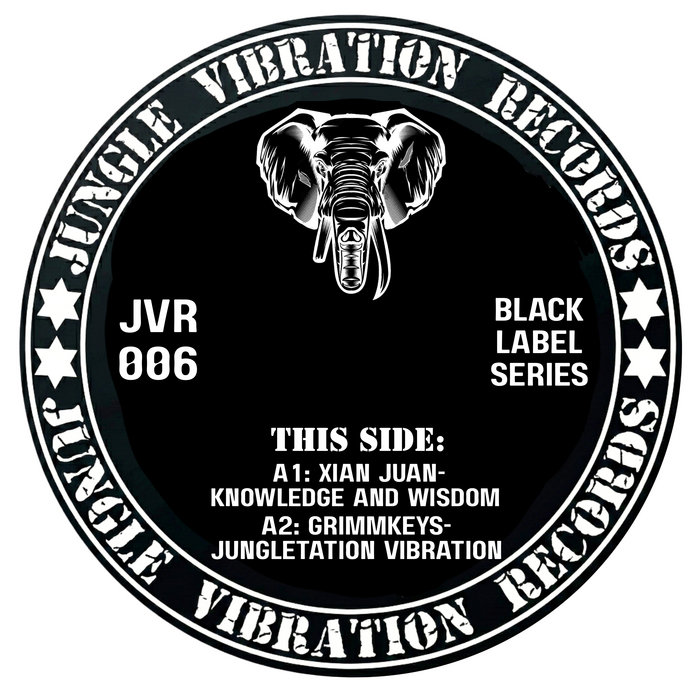 Pochette de JVR006 par Jungle Vibration Records