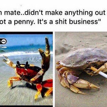 Etherpad Entropy cover art