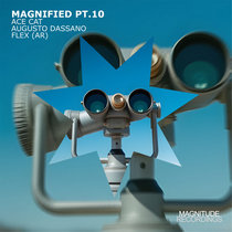 ACE CAT / Augusto Dassano / Flex (AR) — Magnified Pt. 10