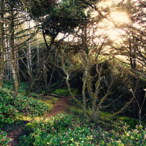 Hobbit Trail cover art