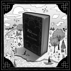 The Features — Wilderness