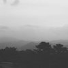 Sfumato