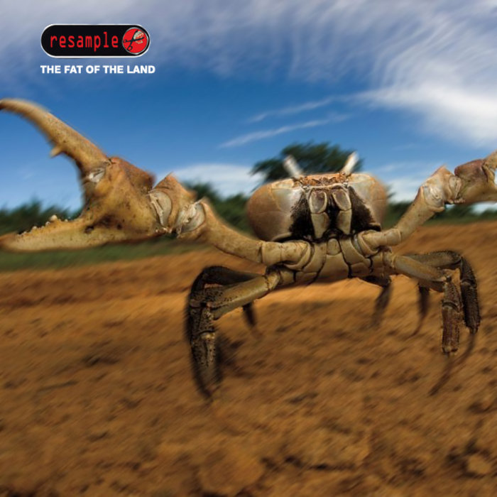 the Fat of the Land (EP) reSample ReSample