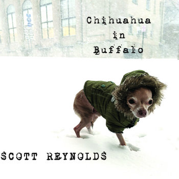 Music | Scott Reynolds
