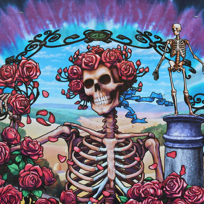 アート・デザイン・音楽 The Story of the Grateful Dead 603497815807_1300x_e2cd0f26-