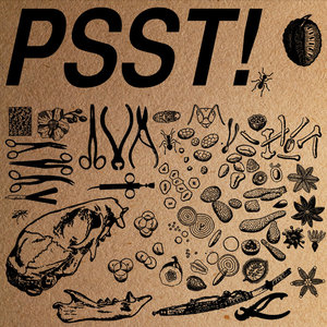 PSST! Pride And Ego Down, Spooky Action Space Captain, SRVVLST, Tir Asleen 4-way SplitPride And Ego Down/ Spooky Action Space Captain/ SRVVLST/ Tir Asleen cover