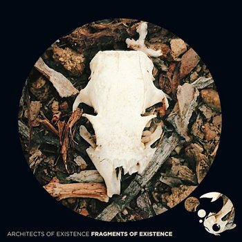 Album artwork for Fragments of Existence