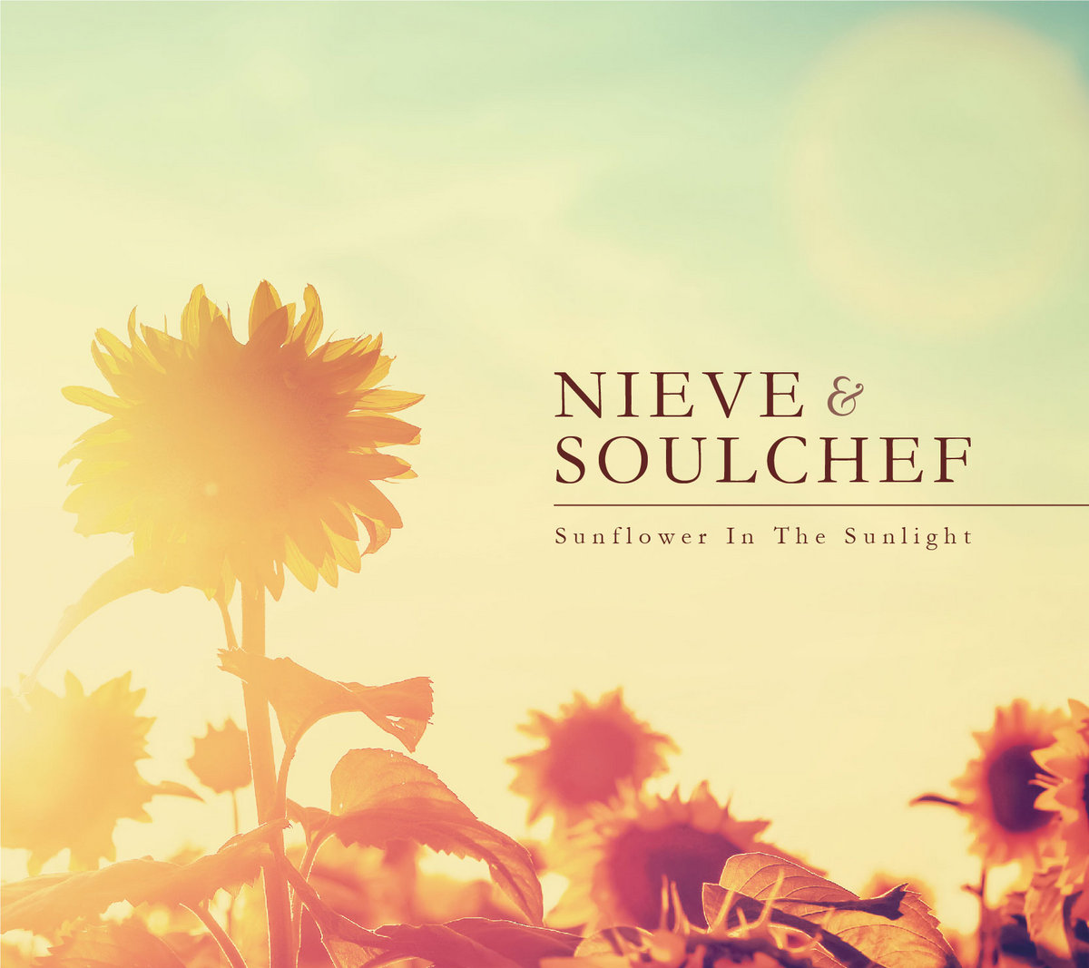 soulchef write this down download