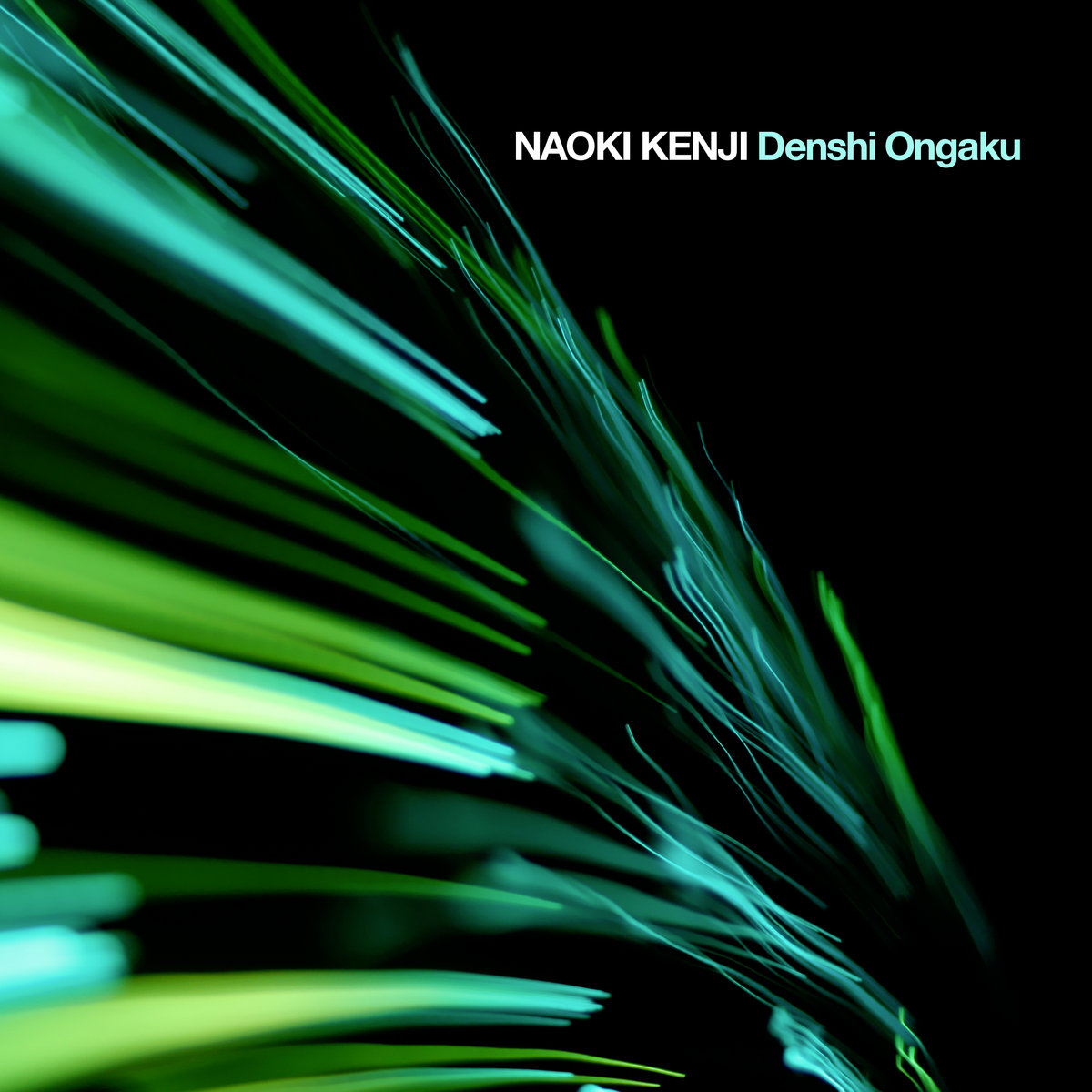 NAOKI KENJI　Denshi ongaku　紙ジャケット　2011年製 Denshi Ongaku | Naoki Kenji