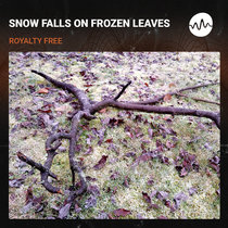Snow Falls on Frozen Leaves cover art
