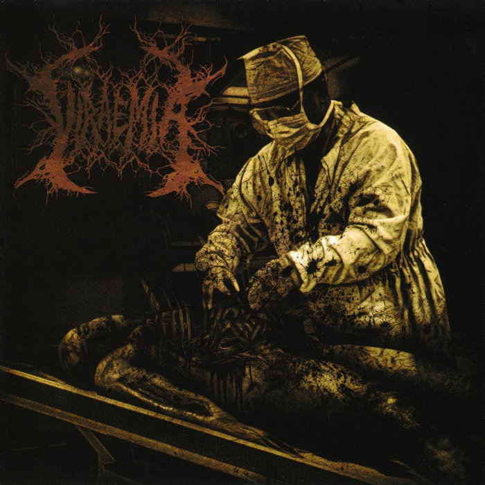 Viraemia | Viraemia