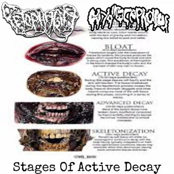 Fetophagia / Hydrocephalus split - 