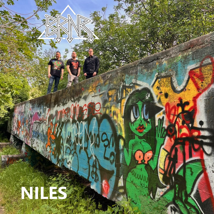 Pochette de Niles (2026 release) par BRNR