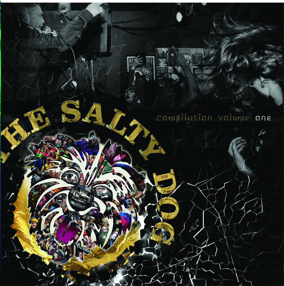 The Salty Dog Compilation Volume 01 Various Artists Rare Vitamin