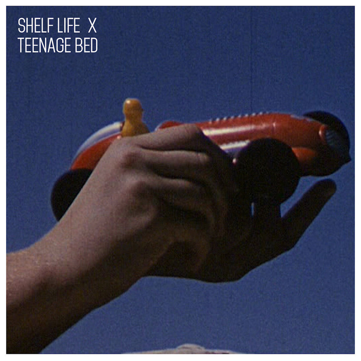 Shelf Life X Teenage Bed Pale Figure Records