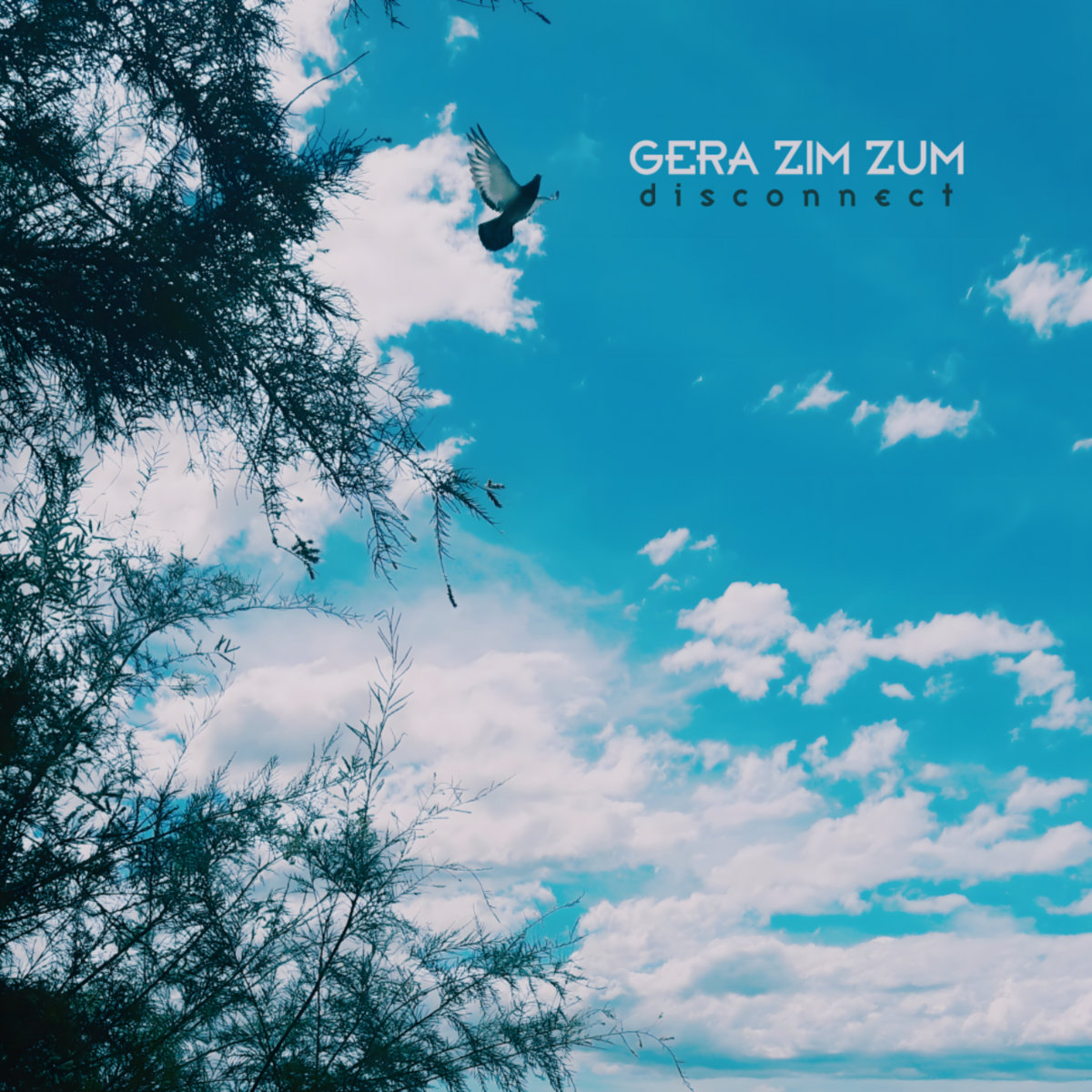 Disconnect (2024) Gera Zim Zum