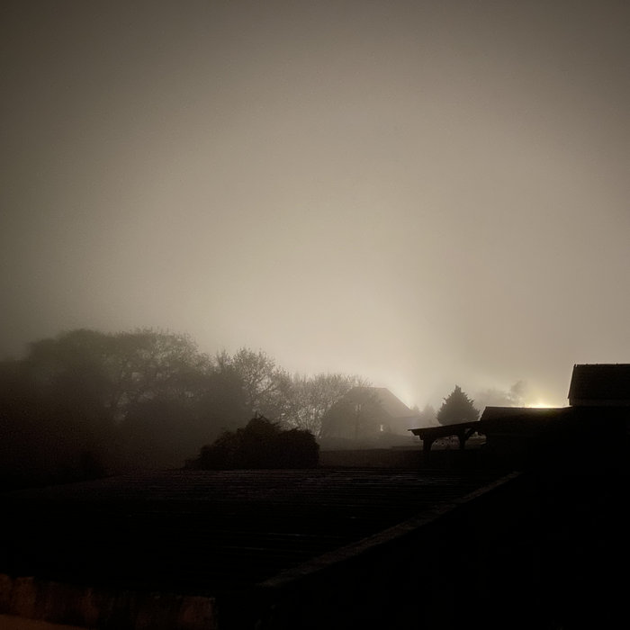 Your Vanity Killed You Somatic Responses Heol Ddu