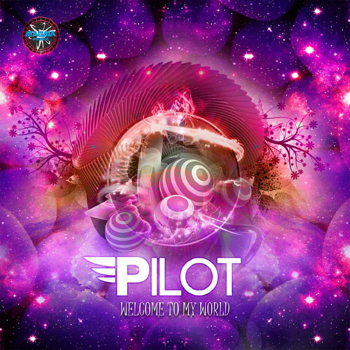 best pilot of the world