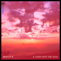 A Look Into the Soul cover art