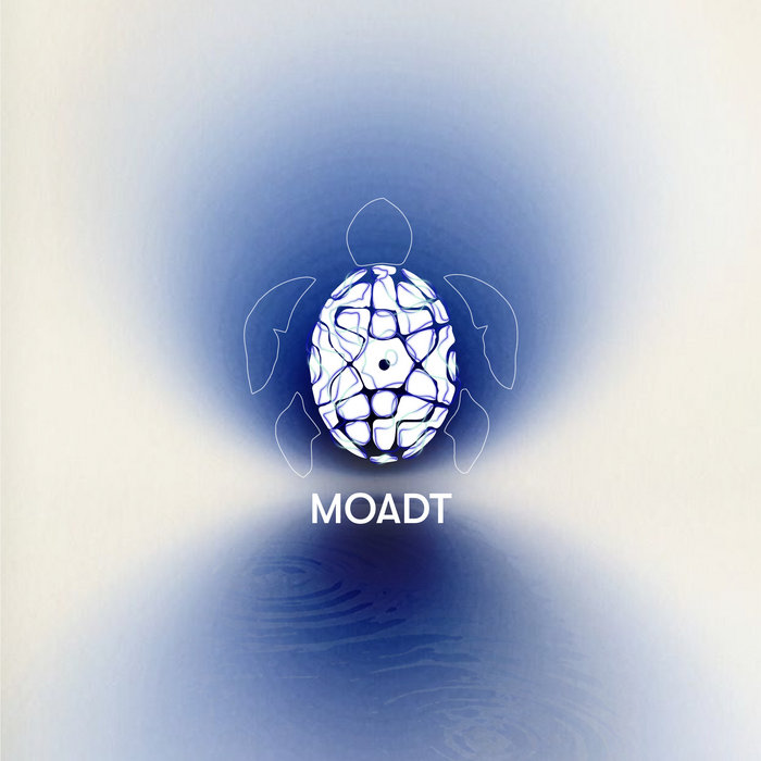 Dead Moda Moda Turtle Memories of a Demented Turtle | Turqua