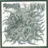 Mephitic Effluvia