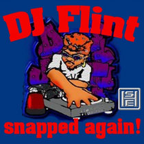 DJ Flint Snapped Again! cover art