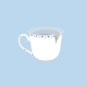 porcelain cover