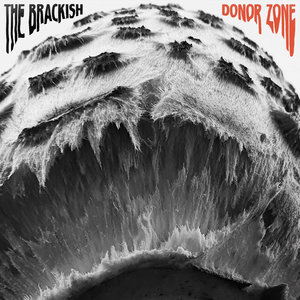 Donor Zone cover