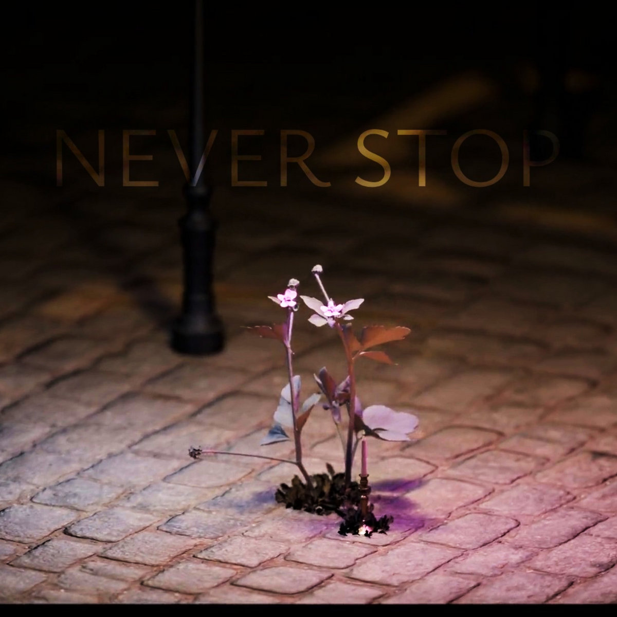 Never Stop cover art