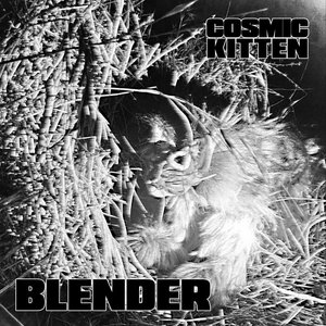 Cosmic Kitten — Blendercosmic kitten