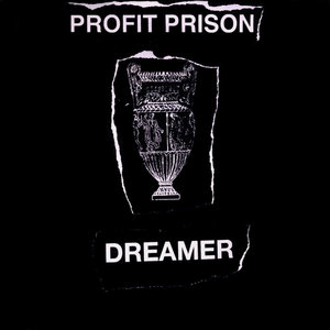 DREAMER (Tiny Vipers cover) cover