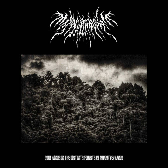 Cold Winds In The Distants Forests Of Forgotten Lands