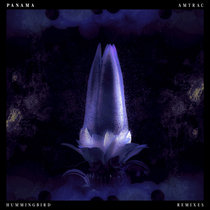 Panama — Hummingbird (Remixes)