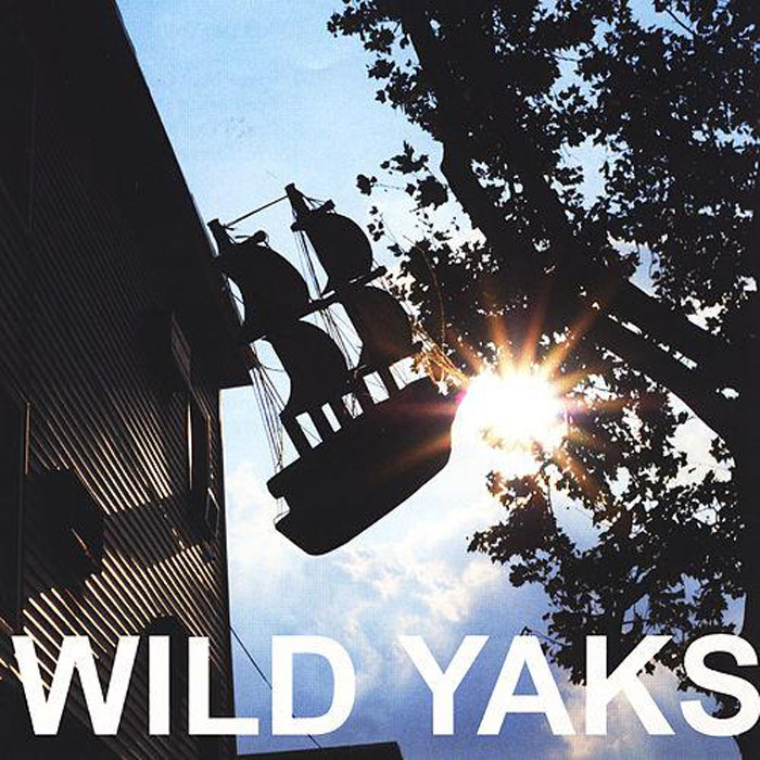 未開封 access Wild Butterfly Remix YOW-ROW Roll & Shake it to the Max (feat. TRIIXSTAR x WILDJAY) - YouTube