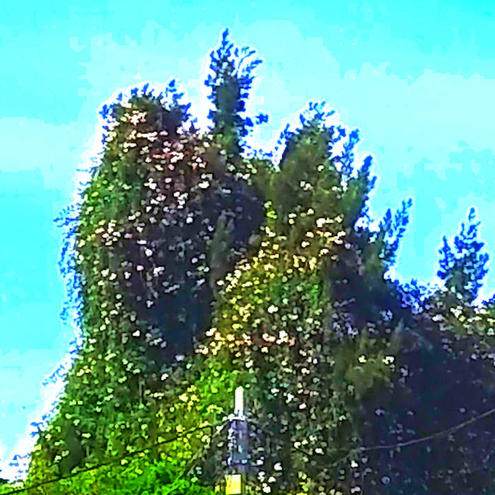 Chowmin - Luciérnagas nacen en las lágrimas del árbol vagabundo album artwork