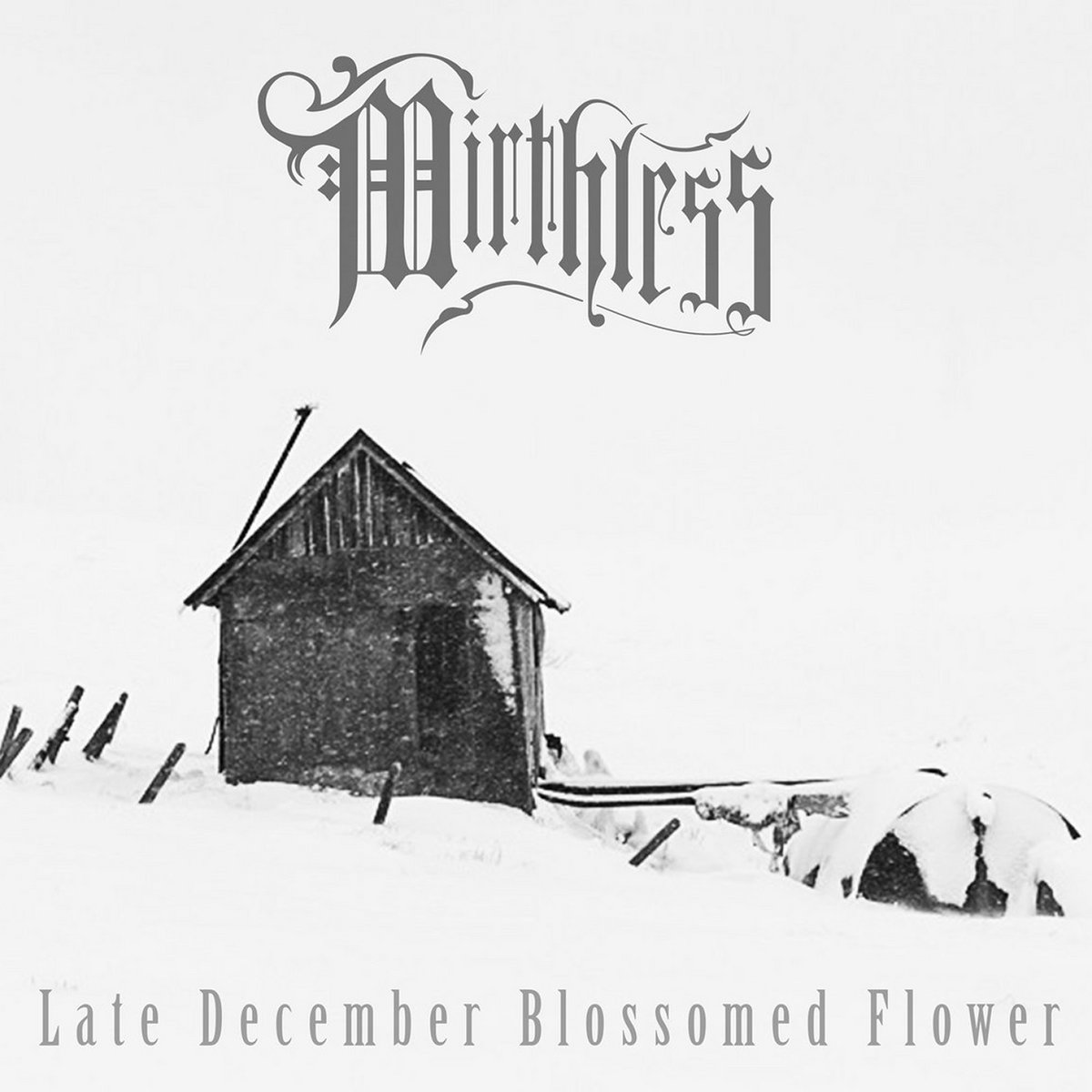 Mirthless - Late December Blossomed Flower | MMR022 | Mirthless