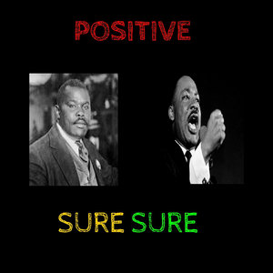 positivesure sure cover