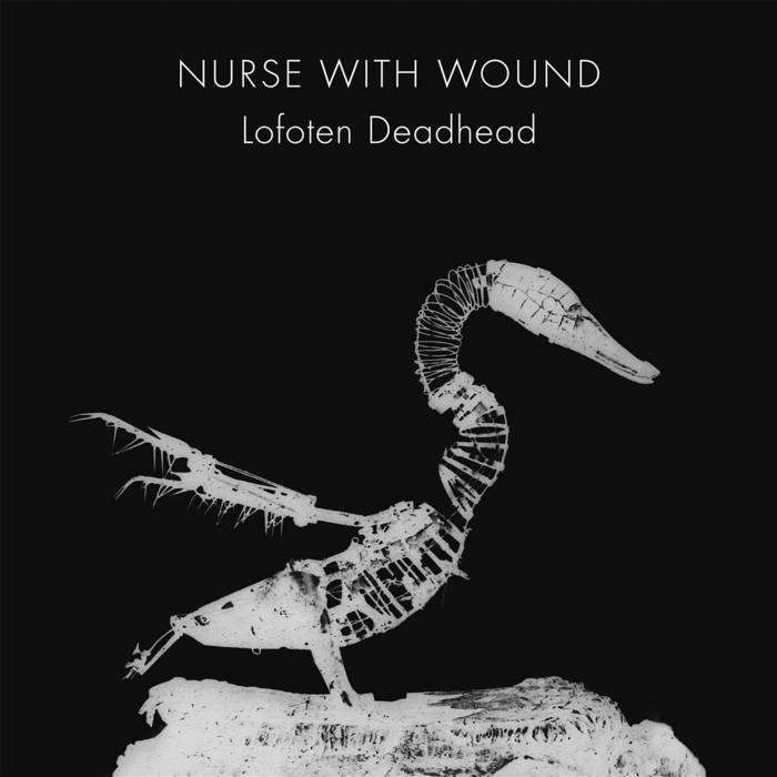 LOFOTEN DEADHEAD | NURSE WITH WOUND | ICR Distribution